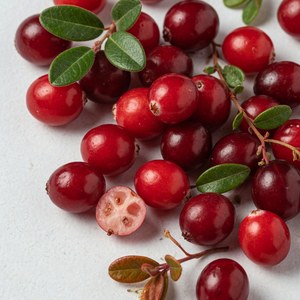 Плодове на червена боровинка